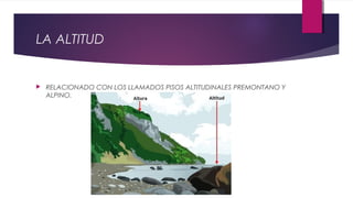 LA ALTITUD
 RELACIONADO CON LOS LLAMADOS PISOS ALTITUDINALES PREMONTANO Y
ALPINO.
 