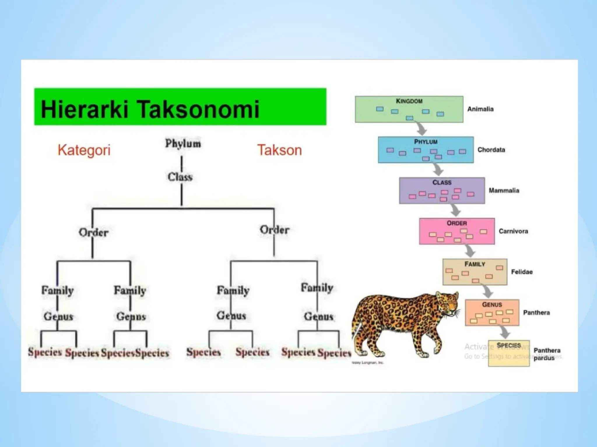 BIOSISTEMATIKA HEWAN DAN TAKSONOMI HEWAN.pptx