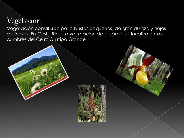 Biosistmas De Altura