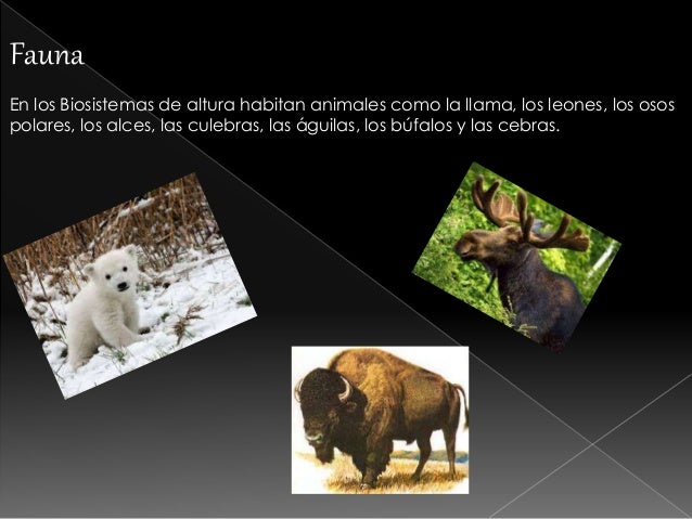 Biosistmas De Altura