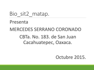 Bio_sit2_matap.
Presenta
MERCEDES SERRANO CORONADO
CBTa. No. 183. de San Juan
Cacahuatepec, Oaxaca.
Octubre 2015.
 