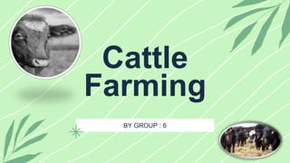 BY GROUP : 6
Cattle
Farming
 