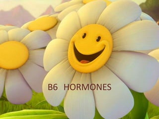 B6 HORMONES
 