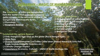 The Sundarban of India and Bangladesh
form the world’s most colossal mangrove
delta complex in the estuarine phase of the
Ganges and Brahmaputra Rivers.
Etymology
Biosphere Reserve
Sundarban Mangroves
Able exploiters of saline habitats
Adaptations to low oxygen
Limiting Salt intake
Limiting water loss
Nutrient uptake
Mangrove Offspring
Sundarban Bio-sphere Reserve
Only mangrove tiger land on the globe (Royal Bengal Tiger)
Wide Flora
Diverse Fauna (Estuarine crocodiles,Chital deers,Rhesus Macaque,Grey Fish
Eagle,Snakes,Gangetic Dolphins etc)
Climate Change Impact
Importance (Economy, Cultural) – UNESCO World Heritage Site Presentation By:
Abhishek Das
20131056For more info refer to bbc.uk.co