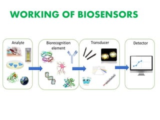Biosensors | PPTX