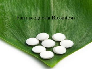 Farmacognosia Biosintesis 
