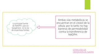La principal fuente
de NADPH para la
lipogénesis es la vía
de la pentosa fosfato
Ambas vías metabólicas se
encuentran en el citosol de la
célula; por lo tanto no hay
barreras de permeabilidad
contra la transferencia de
NADPH.
OTRAS VÍAS DE
OBTENCIÓN DE NADPH
 