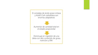 El complejo de ácido graso sintasa
y Acetil-CoA carboxilasa son
enzimas adaptativas
Aumentar de cantidad total en
el estado posprandial
Disminuye en ingestión de una
dieta con alto contenido de grasa,
inanición y DM.
 
