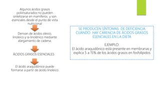 Algunos ácidos grasos
poliinsaturados no pueden
sintetizarse en mamíferos y son
esenciales desde el punto de vista
nutricional
Derivan de ácidos oleico,
linoleico y α-linolénico mediante
alargamiento de cadena.
ÁCIDOS GRASOS ESENCIALES
El ácido araquidónico puede
formarse a partir de ácido linoleico
SE PRODUCEN SÍNTOMAS DE DEFICIENCIA
CUANDO HAY CARENCIA DE ÁCIDOS GRASOS
ESENCIALES EN LA DIETA
EJEMPLO:
El ácido araquidónico está presente en membranas y
explica 5 a 15% de los ácidos grasos en fosfolípidos
 