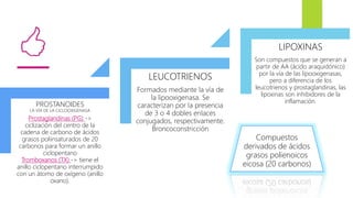 PROSTANOIDES
LA VÍA DE LA CICLOOXIGENASA
Prostaglandinas (PG) ->
ciclización del centro de la
cadena de carbono de ácidos
grasos poliinsaturados de 20
carbonos para formar un anillo
ciclopentano
Tromboxanos (TX) -> tiene el
anillo ciclopentano interrumpido
con un átomo de oxígeno (anillo
oxano).
LEUCOTRIENOS
Formados mediante la vía de
la lipooxigenasa. Se
caracterizan por la presencia
de 3 o 4 dobles enlaces
conjugados, respectivamente.
Broncoconstricción
LIPOXINAS
Son compuestos que se generan a
partir de AA (ácido araquidónico)
por la vía de las lipooxigenasas,
pero a diferencia de los
leucotrienos y prostaglandinas, las
lipoxinas son inhibidores de la
inflamación.
Compuestos
derivados de ácidos
grasos polienoicos
eicosa (20 carbonos)
<
 