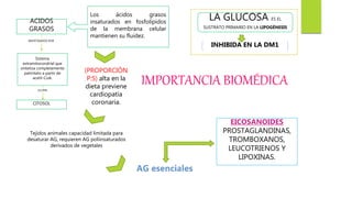 ACIDOS
GRASOS
SINTETIZADOS POR
Sistema
extramitocondrial que
sintetiza completamente
palmitato a partir de
acetil-CoA.
OCURRE
CITOSOL
LA GLUCOSA ES EL
SUSTRATO PRIMARIO EN LA LIPOGÉNESIS
INHIBIDA EN LA DM1
Los ácidos grasos
insaturados en fosfolípidos
de la membrana celular
mantienen su fluidez.
(PROPORCIÓN
P:S) alta en la
dieta previene
cardiopatía
coronaria.
Tejidos animales capacidad limitada para
desaturar AG, requieren AG poliinsaturados
derivados de vegetales
EICOSANOIDES
PROSTAGLANDINAS,
TROMBOXANOS,
LEUCOTRIENOS Y
LIPOXINAS.
IMPORTANCIA BIOMÉDICA
 