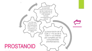)
La transcripción de la
COX-2 —no así de la
COX-1— es inhibida
por completo por los
corticosteroides
antiinflamatorios.
La COX está
presente como
dos isoenzimas,
COX-1 y COX-2.
El producto, un
endoperóxido
(PGH).
La síntesis de
prostanoides
involucra el consumo
de dos moléculas de
O2 catalizado por la
COX (también
llamada
prostaglandina H
sintasa)
PROSTANOID
d
 