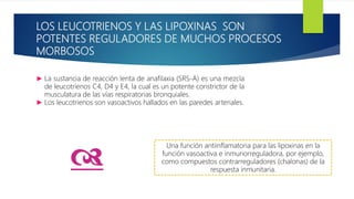 LOS LEUCOTRIENOS Y LAS LIPOXINAS SON
POTENTES REGULADORES DE MUCHOS PROCESOS
MORBOSOS
► La sustancia de reacción lenta de anafilaxia (SRS-A) es una mezcla
de leucotrienos C4, D4 y E4, la cual es un potente constrictor de la
musculatura de las vías respiratorias bronquiales.
► Los leucotrienos son vasoactivos hallados en las paredes arteriales.
Una función antiinflamatoria para las lipoxinas en la
función vasoactiva e inmunorreguladora, por ejemplo,
como compuestos contrarreguladores (chalonas) de la
respuesta inmunitaria.
d
 
