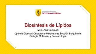 Biosíntesis de Lípidos
MSc. Ana Colarossi
Dpto.de Ciencias Celulares y Moleculares Sección Bioquímica,
Biología Molecular y Farmacología
 