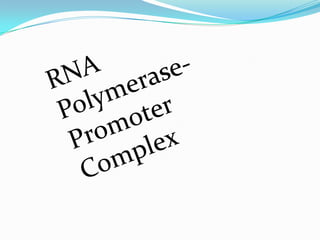 Transcription The selectivity is due to signals in the DNA nucleotide sequenceThe signals convey a messagetoRNA polymerase to define:Where polymerase should start?                How often? (frequency)                Where to stop? (termination)