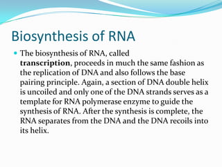 The first product of transcription differs in prokaryotic cells from that of eukaryotic cells, as in prokaryotic cells the product is mRNA, which needs no post-transcriptional modification, whereas, in eukaryotic cells, the first product is called primary transcript, that needs post-transcriptional modification (capping with 7-methyl-guanosine, tailing with a poly A tail) to give hnRNA (heterophil nuclear RNA). hnRNA then undergoes splicing of introns (noncoding parts of the gene) via spliceosomes to produce the final mRNA. 