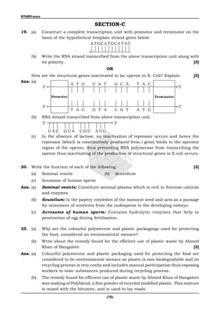 STUDYmate

                                       SECTION-C
19. (a)     Construct a complete transcription unit with promotor and terminator on the
            basis of the hypothetical template strand given below:
                                     A T GCA T GCA T A C


     (b)    Write the RNA strand transcribed from the above transcription unit along with
            its polarity.                                                             [3]
                                              OR
     How are the structural genes inactivated in lac operon in E. Coli? Explain.            [3]
Ans. (a)
                        A T G      C A T      G C A       T A C
         3                                                                   5

                 Promoter                                                 Terminator


            5                                                                         3
                            T A C     G T A           C G T       A T G
     (b)    RNA strand transcribed from above transcription unit.
            5                                3

               UA C GU A CGU A UG
     (c)    In the absence of lactose, no inactivation of repressor occurs and hence the
            repressor (which is constitutively produced from i gene) binds to the operator
            region of the operon; thus preventing RNA polymerase from transcribing the
            operon thus inactivating of the production of structural genes in E.coli occurs.


20. Write the function of each of the following:                                            [3]
     (a)    Seminal vesicle                 (b)       Scutellum
     (c)    Acrosome of human sperm
Ans. (a)    Seminal vesicle: Constitute seminal plasma which is rich in fructose calcium
            and enzymes.
     (b)    Scutellum: Is the papery cotyledon of the monocot seed and acts as a passage
            for movement of nutrients from the endosperm to the developing embryo.
     (c)    Acrosome of human sperm: Contains hydrolytic enzymes that help in
            penetration of egg during fertilization.

25. (a)     Why are the colourful polysterene and plastic packagings used for protecting
            the food, considered an environmental menace?
     (b)    Write about the remedy found for the efficient use of plastic waste by Ahmed
            Khan of Bangalore.                                                        [3]
Ans. (a)    Colourful polysterene and plastic packaging used for protecting the food are
            considered to be environmental menace as plastic is non-biodegradable and its
            recycling process is very costly and includes manual participation thus exposing
            workers to toxic substances produced during recycling process.
     (b)    The remedy found for efficient use of plastic waste by Ahmed Khan of Bangalore
            was making of Polyblend, a fine powder of recycled modified plastic. This mixture
            is mixed with the bitumen, and is used to lay roads.
                                             -(18)-
 