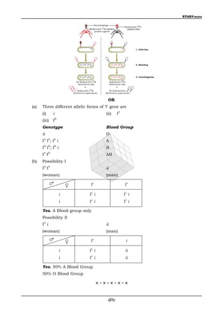 STUDYmate




                                         OR
(a)   Three different allelic forms of ‘I’ gene are
                                                  A
      (i)       i                       (ii)      I
                    B
      (iii)     I
      Genotype                          Blood Group
      ii                                O
       A    A   A
      I I;I i                           A
       B    B   B
      I I ;I i                          B
       A    B
      I I                               AB
(b)   Possibility I
       A    A
      I I                               ii
      (woman)                           (man)
                                A                         A
                                I                     I

                        i      IA i                   IA i
                                A                      A
                        i      I i                    I i

      Yes. A Blood group only
      Possibility II
       A
      I i                               ii
      (woman)                           (man)
                                A
                                I                      i

                        i      IA i                    ii
                                A
                        i      I i                     ii

      Yes. 50% A Blood Group
      50% O Blood Group

                                      ×·×·×·×·×

                                         -(21)-
 