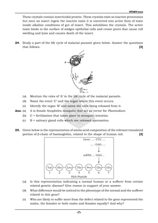 STUDYmate

     These crystals contain insecticidal protein. These crystals exist as inactive prototoxins
     but once an insect ingest the inactive toxin it is converted into active form of toxin
     inside alkaline conditions of gut of insect. This solubilizes the crystals. The active
     toxin binds to the surface of midgnt epithelial cells and create pores that cause cell
     swelling and lysis and causes death of the insect.


24. Study a part of the life cycle of malarial parasite given below. Answer the questions
    that follows:                                                                      [3]




     (a)   Mention the roles of ‘A’ in the life cycle of the malarial parasite.
     (b)   Name the event ‘C’ and the organ where this event occurs.
     (c)   Identify the organ ‘B’ and name the cells being released from it.
Ans. (a)   A is female Anopheles mosquito that act as vector for Plasmodium.
     (b)   C = fertilization that takes place in mosquito intestine.
     (c)   B = salivary gland cells which are released sporozoites.


25. Given below is the representation of amino acid composition of the relevant translated
    portion of -chain of haemoglobin, related to the shape of human red.               [3]
                                                       Gene ..... CTC ....
                                                               ..... GAG ....



                                                       mRNA ... GAG...



                       Val     His    Leu     Thr        Pro        Glu         Glu
                         1      2      3        4          5         6          7
                                           HbA Peptide
     (a)   Is this representation indicating a normal human or a sufferer from certain
           related genetic disease? Give reason in support of your answer.
     (b)   What difference would be noticed in the phenotype of the normal and the sufferer
           related to this gene?
     (c)   Who are likely to suffer more from the defect related to the gene represented the
           males, the females or both males and females equally? And why?


                                               -(7)-
 