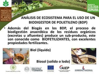• Además del Biogás en los BDP, el proceso de
biodigestión anaeróbica de los residuos orgánicos
(excretas u afluentes) produce un sub-producto, este
son conocido como BIOFETILIZANTES, con excelentes
propiedades fertilizantes.
ANÁLISIS DE ECOSISTEMA PARA EL USO DE UN
BIODIGESTOR DE POLIETILENO (BDP)
Biol (líquido)
Biosol (solido o lodo)
 