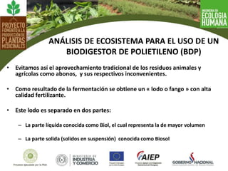 • Evitamos así el aprovechamiento tradicional de los residuos animales y
agrícolas como abonos, y sus respectivos inconvenientes.
• Como resultado de la fermentación se obtiene un « lodo o fango » con alta
calidad fertilizante.
• Este lodo es separado en dos partes:
– La parte líquida conocida como Biol, el cual representa la de mayor volumen
– La parte solida (solidos en suspensión) conocida como Biosol
ANÁLISIS DE ECOSISTEMA PARA EL USO DE UN
BIODIGESTOR DE POLIETILENO (BDP)
 