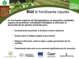 • Es una fuente orgánica de fitoreguladores en pequeñas cantidades
capaces de promover actividades fisiológicas y estimular el
desarrollo de las plantas sirviendo para:
• Enraizamiento (aumenta y fortalece la base radicular)
• Acción sobre el follaje (amplia la base foliar)
• Mejora la floración, activa el vigor y poder germinativo de las
semillas.
• Traduciendo todo esto en un aumento significativo de las cosechas.
Biol o Fertilizante Líquido
 