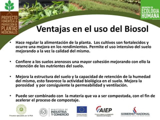• Hace regular la alimentación de la planta. Los cultivos son fortalecidos y
ocurre una mejora en los rendimientos. Permite el uso intensivo del suelo
mejorando a la vez la calidad del mismo.
• Confiere a los suelos arenosos una mayor cohesión mejorando con ello la
retención de los nutrientes del suelo.
• Mejora la estructura del suelo y la capacidad de retención de la humedad
del mismo, esto favorece la actividad biológica en el suelo. Mejora la
porosidad y por consiguiente la permeabilidad y ventilación.
• Puede ser combinado con la materia que va a ser compostada, con el fin de
acelerar el proceso de compostaje.
Ventajas en el uso del Biosol
 