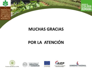 MUCHAS GRACIAS
POR LA ATENCIÓN
 