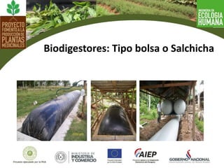 Biodigestores: Tipo bolsa o Salchicha
 