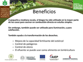 A pequeña y mediana escala, el biogas ha sido utilizado en la mayor parte
de los casos para cocinar en combustión directa en estufas simples.
Sin embargo, también puede ser utilizado para iluminación, y para
calefacción.
También ayuda a la transformación de los desechos.
– Mejora de la capacidad fertilizante del estiércol
– Control de patógenos
– Control de olores
– El efluente se puede usar como alimento en lombricultura
Beneficios
 