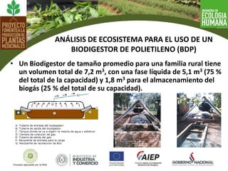 ANÁLISIS DE ECOSISTEMA PARA EL USO DE UN
BIODIGESTOR DE POLIETILENO (BDP)
• Un Biodigestor de tamaño promedio para una familia rural tiene
un volumen total de 7,2 m3, con una fase líquida de 5,1 m3 (75 %
del total de la capacidad) y 1,8 m3 para el almacenamiento del
biogás (25 % del total de su capacidad).
 