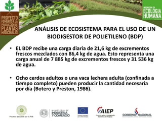 • EL BDP recibe una carga diaria de 21,6 kg de excrementos
frescos mezclados con 86,4 kg de agua. Esto representa una
carga anual de 7 885 kg de excrementos frescos y 31 536 kg
de agua.
• Ocho cerdos adultos o una vaca lechera adulta (confinada a
tiempo completo) pueden producir la cantidad necesaria
por día (Botero y Preston, 1986).
ANÁLISIS DE ECOSISTEMA PARA EL USO DE UN
BIODIGESTOR DE POLIETILENO (BDP)
 