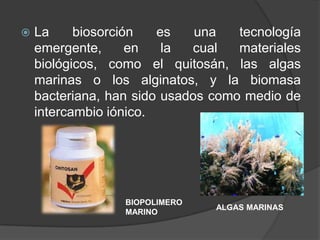  La biosorción es una tecnología
emergente, en la cual materiales
biológicos, como el quitosán, las algas
marinas o los alginatos, y la biomasa
bacteriana, han sido usados como medio de
intercambio iónico.
BIOPOLIMERO
MARINO
ALGAS MARINAS
 
