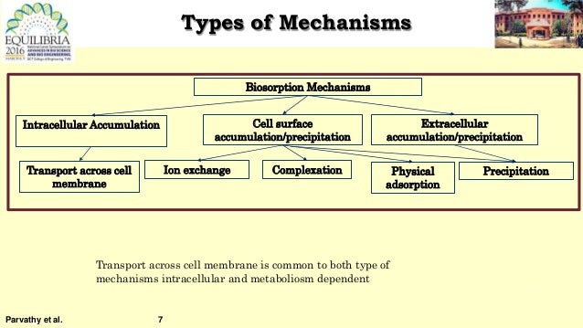 Phd thesis on biosorption of heavy metals