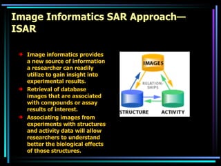 Image Informatics SAR Approach—ISAR Image informatics provides a new source of information a researcher can readily utilize to gain insight into experimental results.  Retrieval of database images that are associated with compounds or assay results of interest. Associating images from experiments with structures and activity data will allow researchers to understand better the biological effects of those structures.  