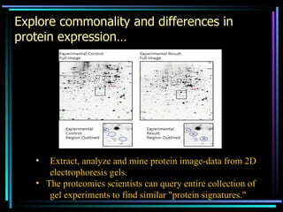 Explore commonality and differences in protein expression… Extract, analyze and mine protein image-data from 2D  electrophoresis gels.  The proteomics scientists can query entire collection of  gel experiments to find similar "protein signatures."   