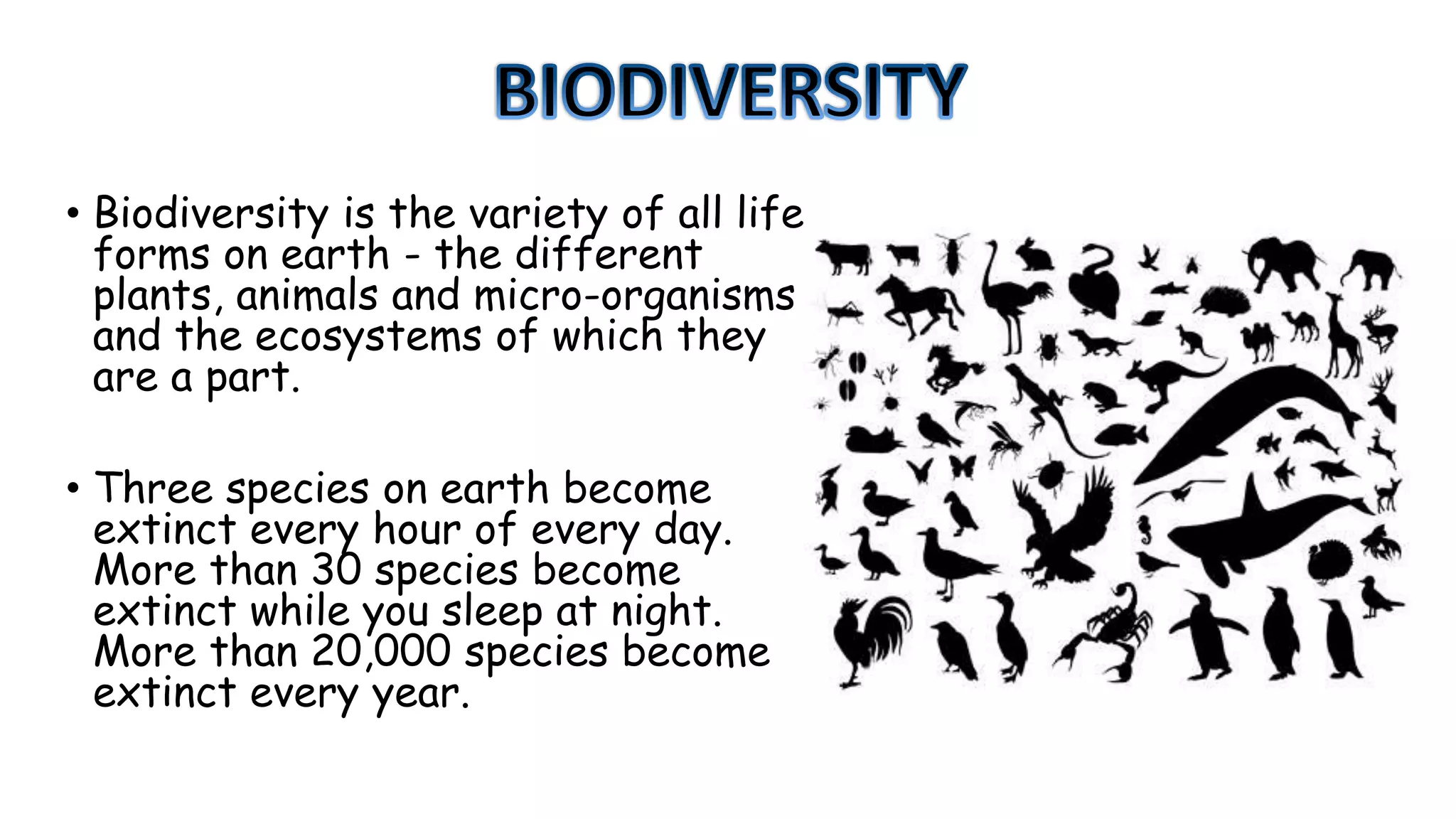• Biodiversity is the variety of all life
forms on earth - the different
plants, animals and micro-organisms
and the ecosystems of which they
are a part.
• Three species on earth become
extinct every hour of every day.
More than 30 species become
extinct while you sleep at night.
More than 20,000 species become
extinct every year.