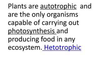 Plants are autotrophic and
are the only organisms
capable of carrying out
photosynthesis and
producing food in any
ecosystem. Hetotrophic
 