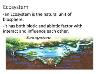 Ecosystem
-an Ecosystem is the natural unit of
biosphere.
-it has both biotic and abiotic factor with
interact and influence each other.
 