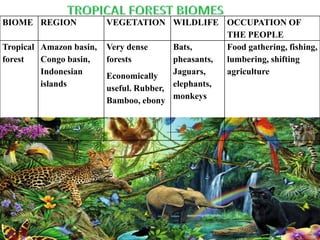 BIOME REGION VEGETATION WILDLIFE OCCUPATION OF
THE PEOPLE
Tropical
forest
Amazon basin,
Congo basin,
Indonesian
islands
Very dense
forests
Economically
useful. Rubber,
Bamboo, ebony
Bats,
pheasants,
Jaguars,
elephants,
monkeys
Food gathering, fishing,
lumbering, shifting
agriculture
 