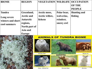 BIOME REGION VEGETATION WILDLIFE OCCUPATION
OF THE
PEOPLE
Tundra
Long severe
winters and short
cool summers
Greenland,
Arctic and
Antarctic
regions,
North part of
Asia and
Europe
Arctic moss,
Arctic willow,
lichens
Polar bear,
wolverine,
reindeer,
snowy owl
Hunting and
fishing
wolverine
 
