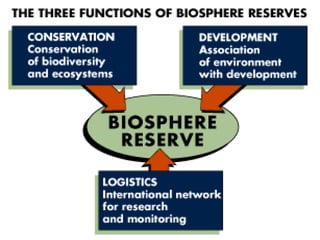 Biosphere