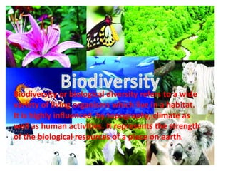 Biodiversity or biological diversity refers to a wide
variety of living organisms which live in a habitat.
It is highly influenced by topography, climate as
well as human activities. It represents the strength
of the biological resources of a place on earth.
 
