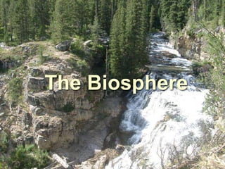 The Biosphere
 
