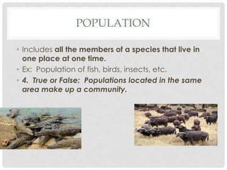 POPULATION

• Includes all the members of a species that live in
  one place at one time.
• Ex: Population of fish, birds, insects, etc.
• 4. True or False: Populations located in the same
  area make up a community.
 