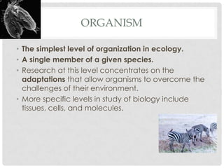 ORGANISM

• The simplest level of organization in ecology.
• A single member of a given species.
• Research at this level concentrates on the
  adaptations that allow organisms to overcome the
  challenges of their environment.
• More specific levels in study of biology include
  tissues, cells, and molecules.
 