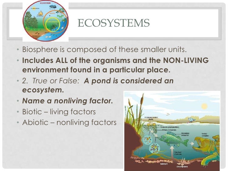 Essay on biosphere