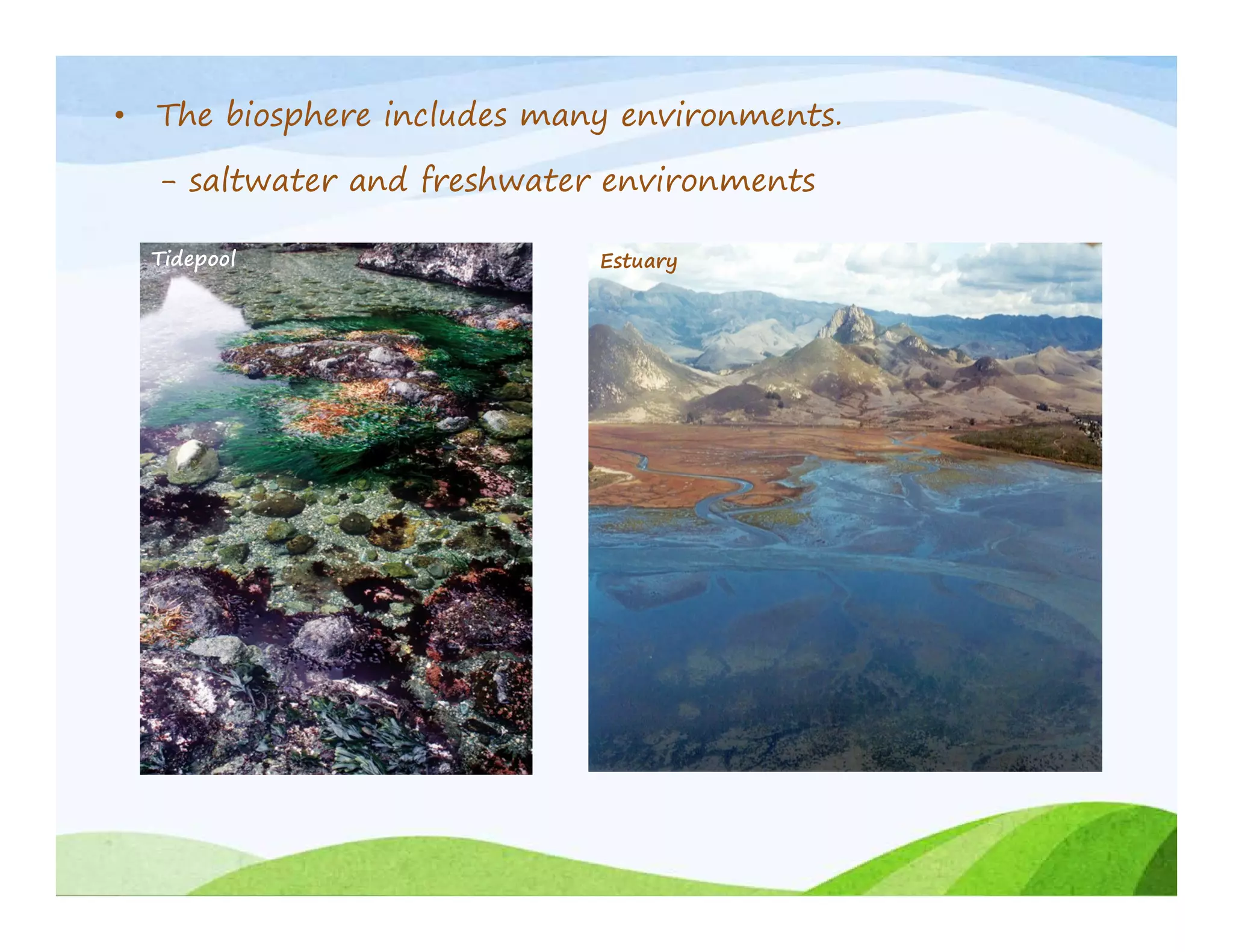 Biosphere concept 1st sem ecg 101 | PDF