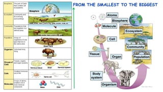 Biosphere ecosystems | PPTX