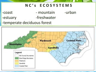N C ‘ s E C O S Y S T E M S
-coast - mountain -urban
-estuary -freshwater
-temperate deciduous forest
 